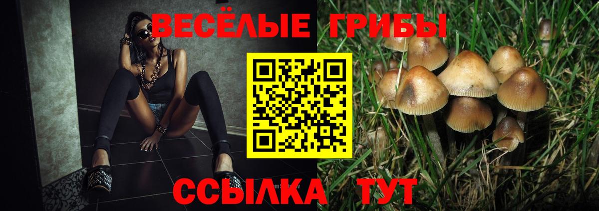 Гусь-Хрустальный  Галлюциногенные грибы мицелий  Вход с VPN  Псилоцибиновые грибы мицелий 