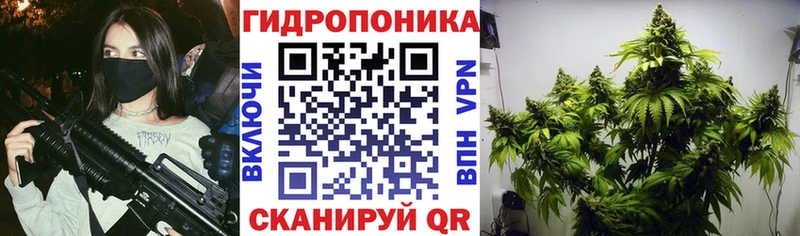 Бошки Шишки THC 21%  Гусь-Хрустальный 
